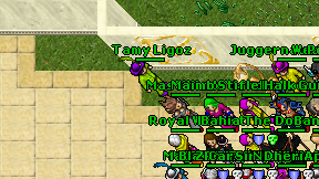 Tamy Ligoz on screen
