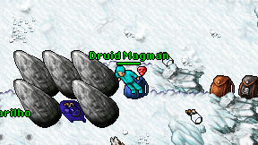 Druid Magman on screen