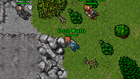 Don Walo on screen