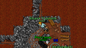Shark Tassels on screen