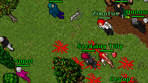 Szendu on screen
