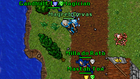 Magreb Devas on screen