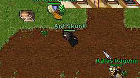 Ant Skunk on screen