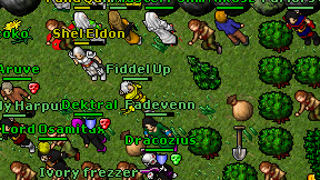 Fiddel Up on screen
