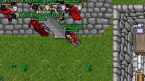 Vojuva on screen
