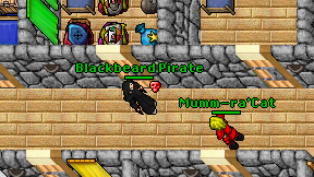 Blackbeard Pirate on screen