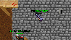 Purple May on screen
