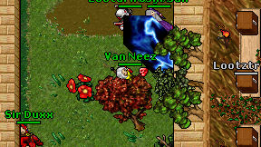 Van Neez on screen