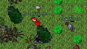 Lady Fighter on screen