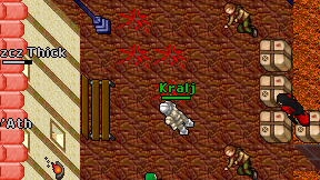 Kralj on screen