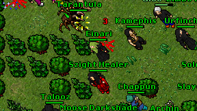 Einari on screen