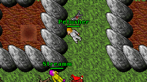 Petusher on screen