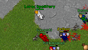 Garanti on screen