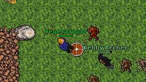 Vegetafppbr on screen