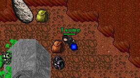 Tsume on screen