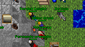 Qiller druid on screen