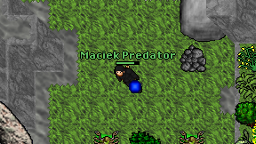 Maciek Predator on screen