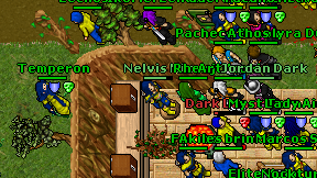 Nelvis Mix on screen