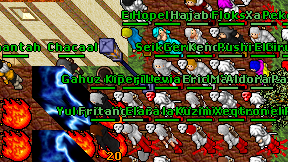 Kanieo on screen