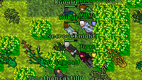 Necrous Knight on screen