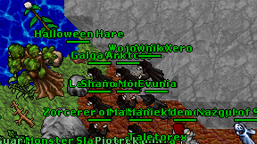 Arktoss on screen