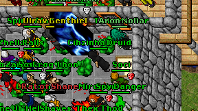 Cihzinha Druid on screen
