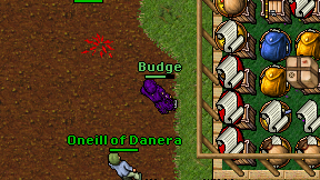 Budge on screen