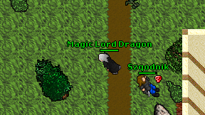 Magic Lord Dragon on screen