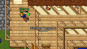 Necro Vegeta on screen
