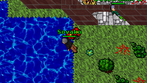 Sovako on screen