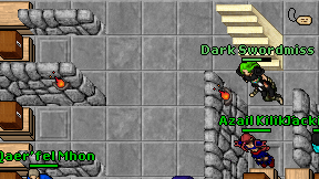 Dark Swordmiss on screen