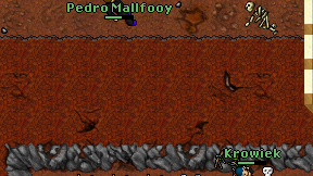 Pedro Mallfooy on screen
