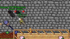 Ducxy on screen