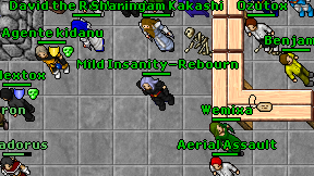 Mild Insanity-Rebourn on screen