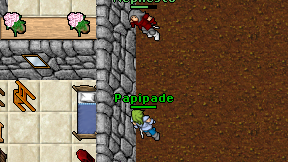Papipade on screen
