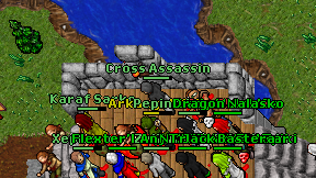 Cross Assassin on screen