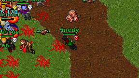 Snedy on screen