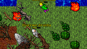 Duerme druida on screen