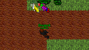 Dogut on screen