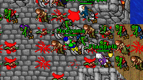 Maezona on screen
