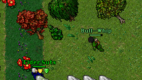Bull-Whip on screen