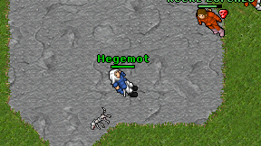 Hegemot on screen