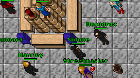 Niduxe on screen