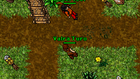 Valra Turo on screen