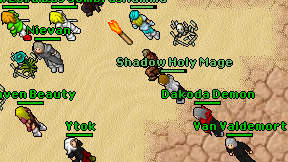 Shadow Holy Mage on screen
