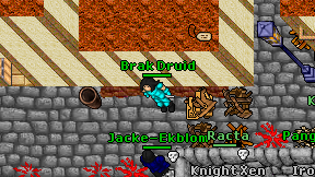 Brak Druid on screen