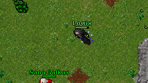 Lowix on screen