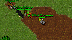 Kiluk Damena on screen