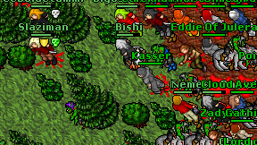 Kasser on screen