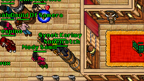 Sonelcotch on screen